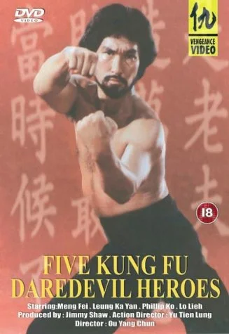 Five Kung Fu Daredevil Heroes
