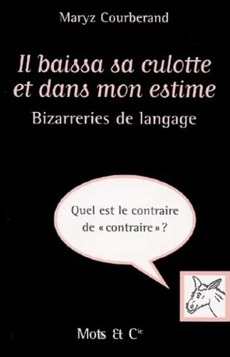 Bizarreries de langage : Il baissa sa culotte et dans mon estime