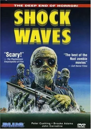 Shock Waves
