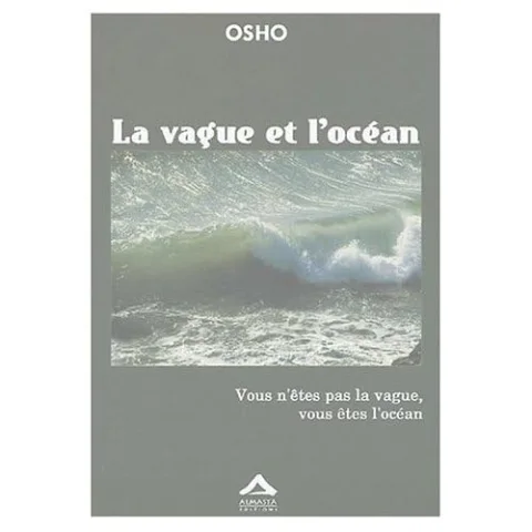 La vague et l'océan