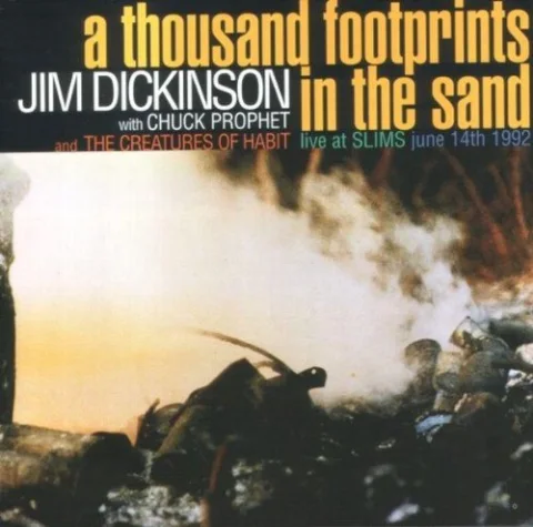 A Thousand Footprints In The Sand