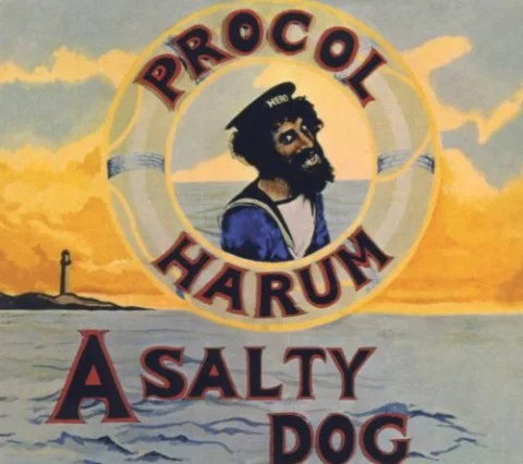 A Salty Dog