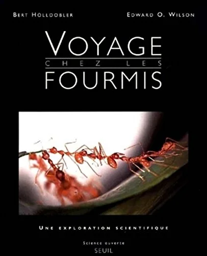 Voyage chez les fourmis