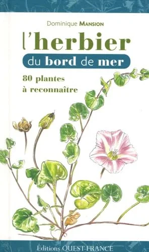 L'herbier du bord de mer
