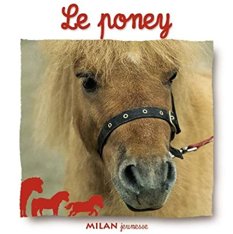 Le Poney