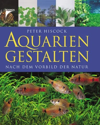 Aquarien Gestalten.