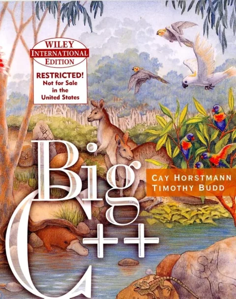 Big C++