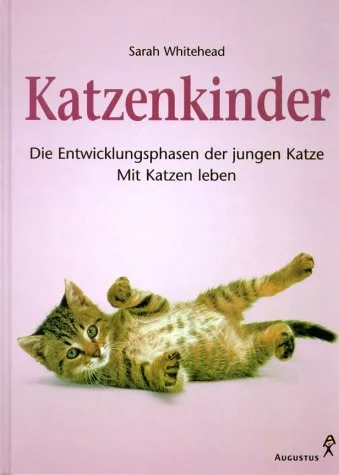 Katzenkinder