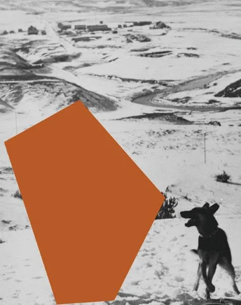 John Baldessari.