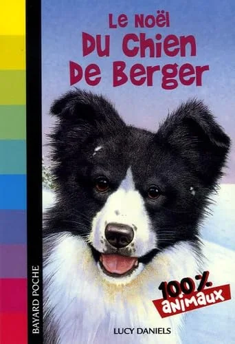Le Noël du chien de berger