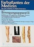 Bewegungsapparat II