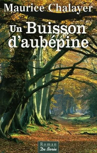 Un buisson d'aubépine