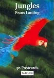 Lanting Jungles