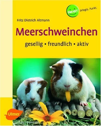 Meerschweinchen