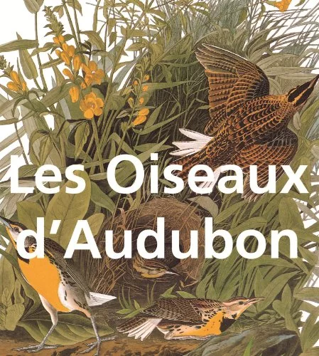 Les Oiseaux d'Audubon