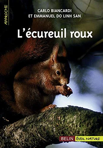 L'écureuil roux