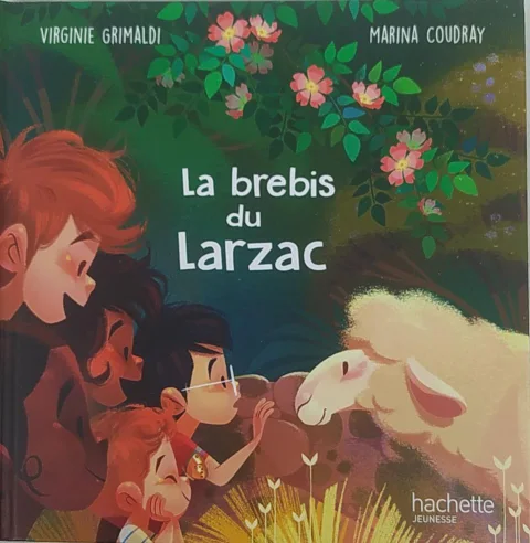 La brebis du Larzac